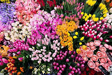 《星露谷物语》的BUG让玩家可以对温泉进行装饰